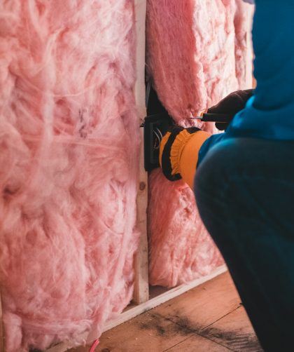 isolation en laine de mouton : pourquoi et comment faire ?